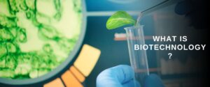 what is b.tech bio technology