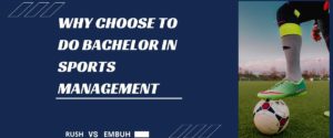 why choose bachelors in sports management